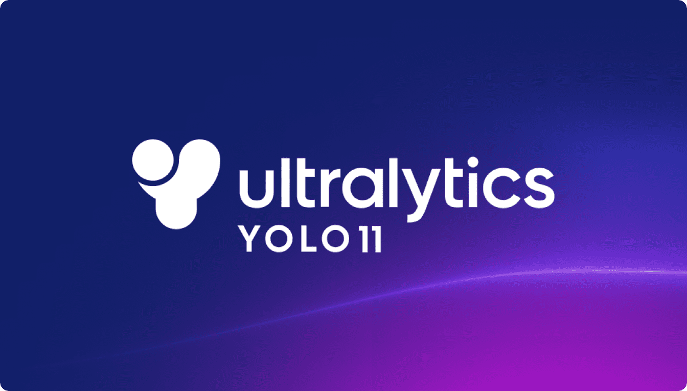 Image Detection and Classification with YOLOv11